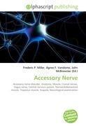 Accessory Nerve