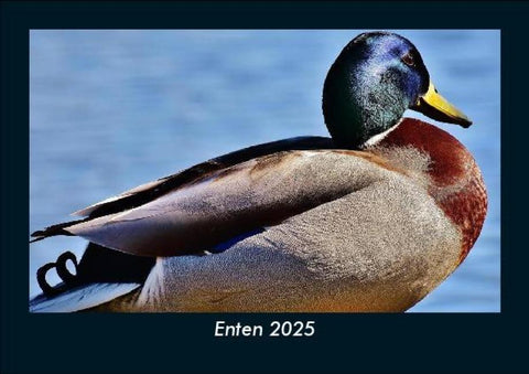 Enten 2025 Fotokalender DIN A5
