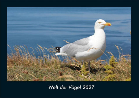 Welt der Vögel 2027 Fotokalender DIN A4