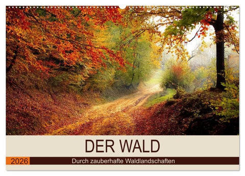 Der Wald. Durch zauberhafte Waldlandschaften (Wandkalender 2026 DIN A2 quer), CALVENDO Monatskalender