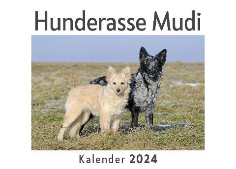 Hunderasse Mudi (Wandkalender 2024, Kalender DIN A4 quer, Monatskalender im Querformat mit Kalendarium, Das perfekte Geschenk)