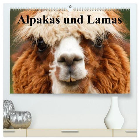 Alpakas und Lamas (hochwertiger Premium Wandkalender 2026 DIN A2 quer), Kunstdruck in Hochglanz