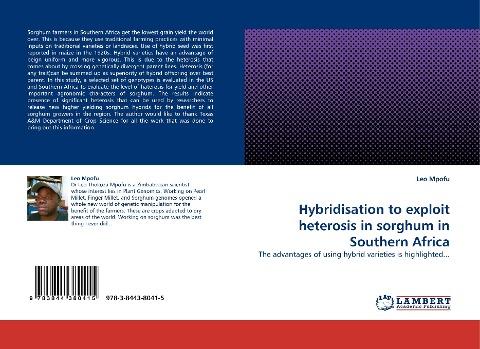 Hybridisation to exploit heterosis in sorghum in Southern Africa