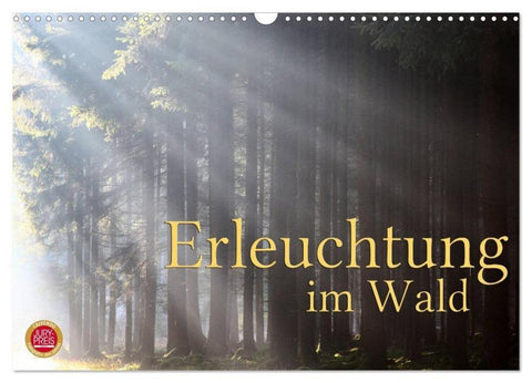 Erleuchtung im Wald (Wandkalender 2026 DIN A3 quer), CALVENDO Monatskalender