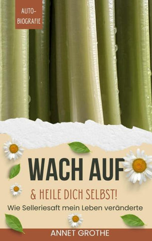 Wach auf & heile Dich selbst!