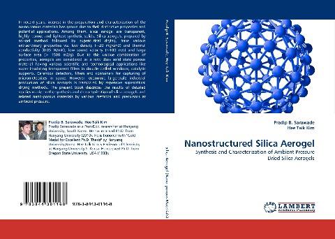Nanostructured Silica Aerogel