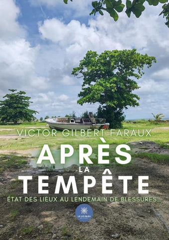 Après la tempête