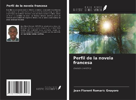 Perfil de la novela francesa