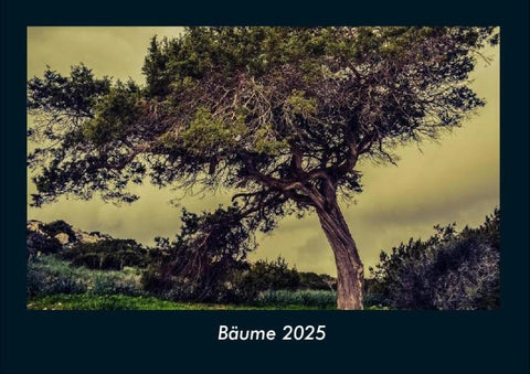 Bäume 2025 Fotokalender DIN A4