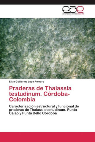 Praderas de Thalassia testudinum. Córdoba-Colombia