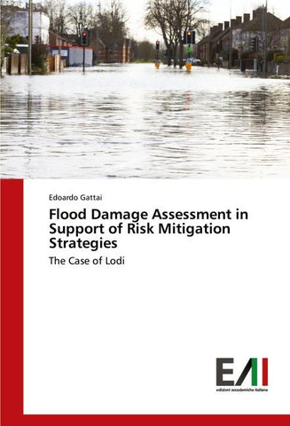 Flood Damage Assessment in Support of Risk Mitigation Strategies