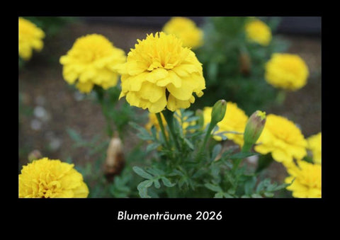 Blumenträume 2026 Fotokalender DIN A3