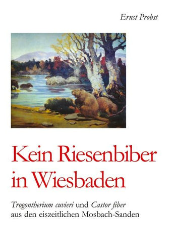 Kein Riesenbiber in Wiesbaden