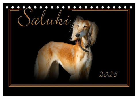 Saluki 2026 (Tischkalender 2026 DIN A5 quer), CALVENDO Monatskalender