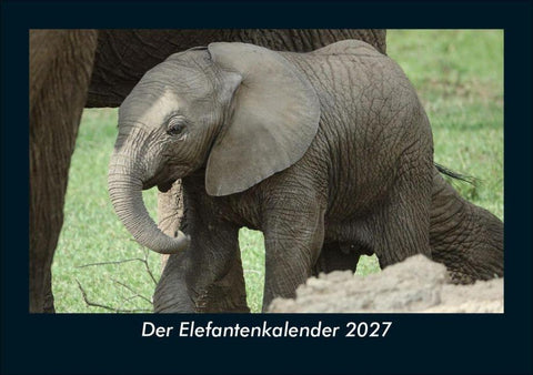 Der Elefantenkalender 2027 Fotokalender DIN A5