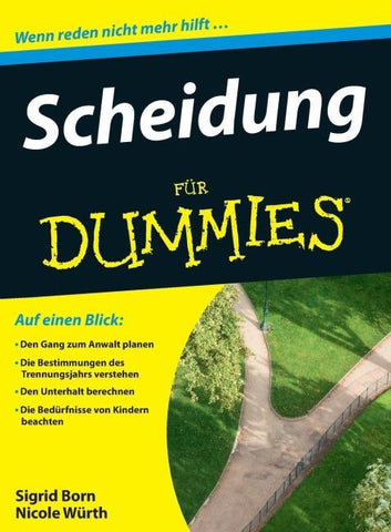 Scheidung für Dummies