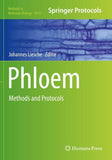 Phloem