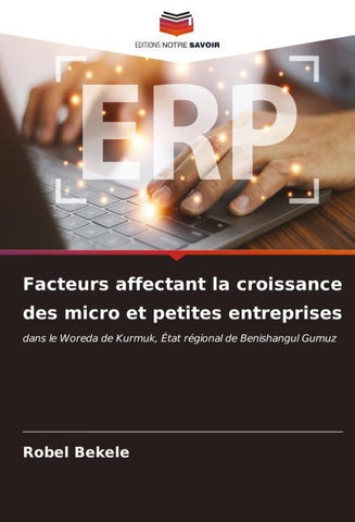 Facteurs affectant la croissance des micro et petites entreprises