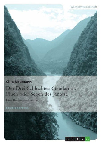 Der Drei-Schluchten-Staudamm: Fluch oder Segen des Jangtse