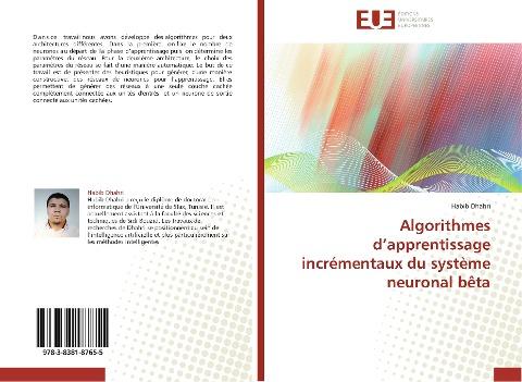 Algorithmes d'apprentissage incrémentaux du système neuronal bêta