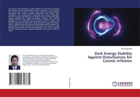 Dark Energy Stability Against Disturbances for Cosmic Inflation