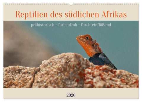 Reptilien des südlichen Afrikas (Wandkalender 2026 DIN A2 quer), CALVENDO Monatskalender