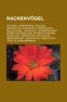 Rackenvögel