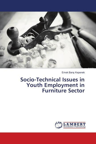 Socio-Technical Issues in Youth Employment in Furniture Sector