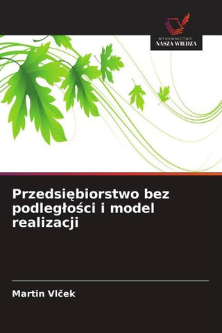Przedsi¿biorstwo bez podleg¿o¿ci i model realizacji