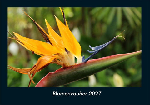 Blumenzauber 2027 Fotokalender DIN A4