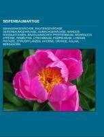Seifenbaumartige