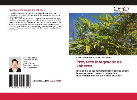 Proyecto integrador de saberes
