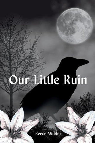 Our Little Ruin