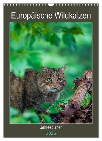 Europäische Wildkatzen - Jahresplaner (Wandkalender 2026 DIN A3 hoch), CALVENDO Monatskalender