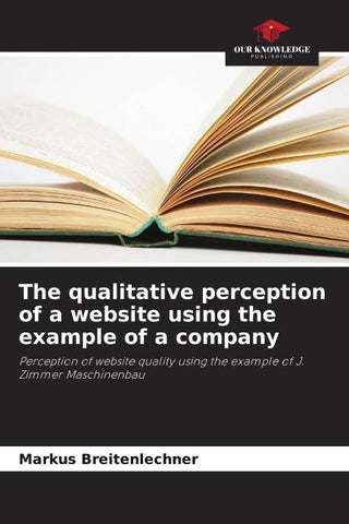 The qualitative perception of a website using the example of a company