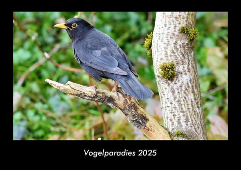 Vogelparadies 2025 Fotokalender DIN A3