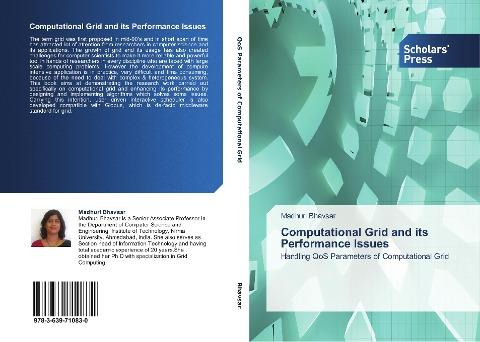 Computational Grid and its Performance Issues