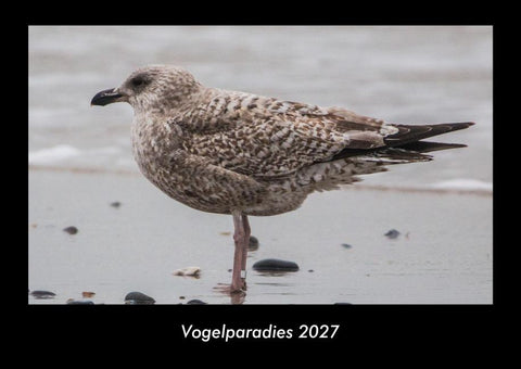 Vogelparadies 2027 Fotokalender DIN A3