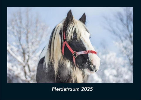 Pferdetraum 2025 Fotokalender DIN A4