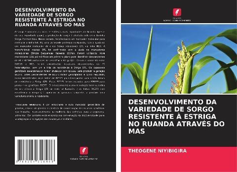DESENVOLVIMENTO DA VARIEDADE DE SORGO RESISTENTE À ESTRIGA NO RUANDA ATRAVÉS DO MAS
