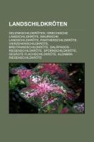 Landschildkröten