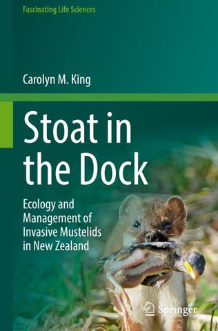 Stoat in the Dock