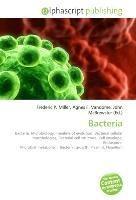 Bacteria