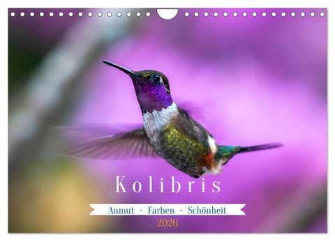 Kolibris; Anmut, Schönheit, Farben (Wandkalender 2026 DIN A4 quer), CALVENDO Monatskalender