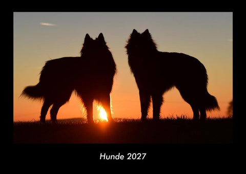 Hunde 2027 Fotokalender DIN A3