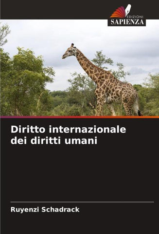 Diritto internazionale dei diritti umani