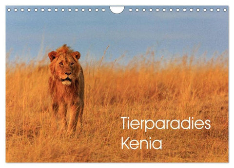 Tierparadies Kenia (Wandkalender 2026 DIN A4 quer), CALVENDO Monatskalender