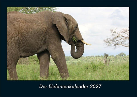 Der Elefantenkalender 2027 Fotokalender DIN A4