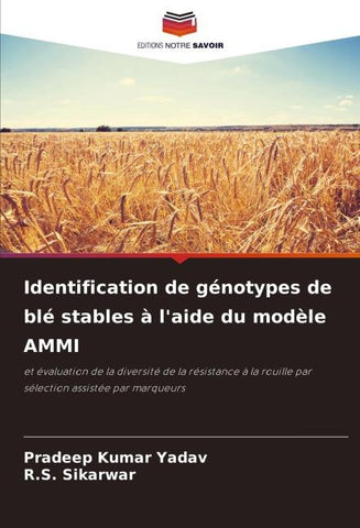 Identification de génotypes de blé stables à l'aide du modèle AMMI