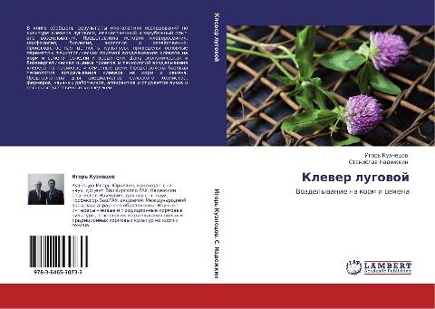 Klewer lugowoj